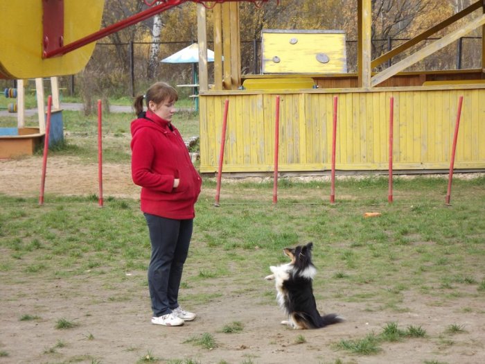 Встреча с клубом кинологов