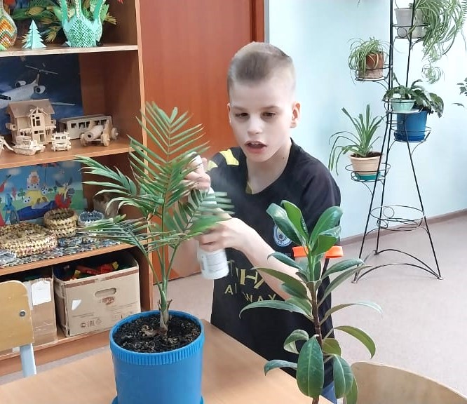 Уход за цветами