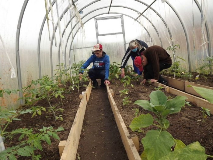 Садово-огородные работы