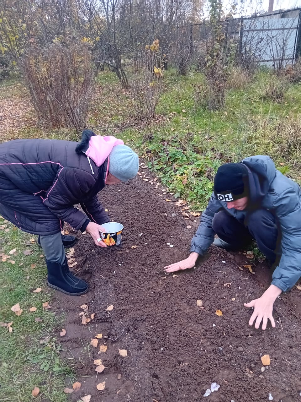 Чеснок посажен!