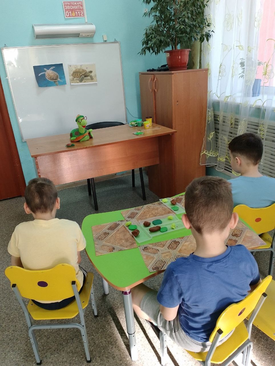 Внимание, черепахи!
