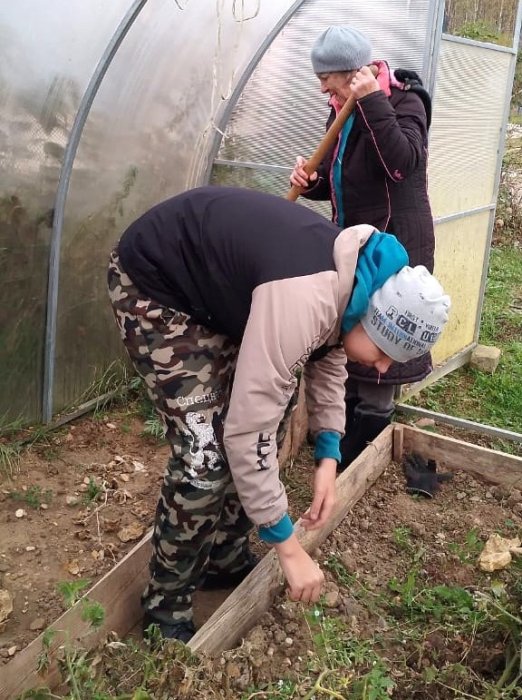 Наводим порядок в теплице