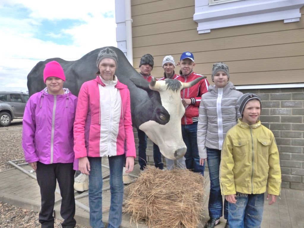 "Кострома Сырная"