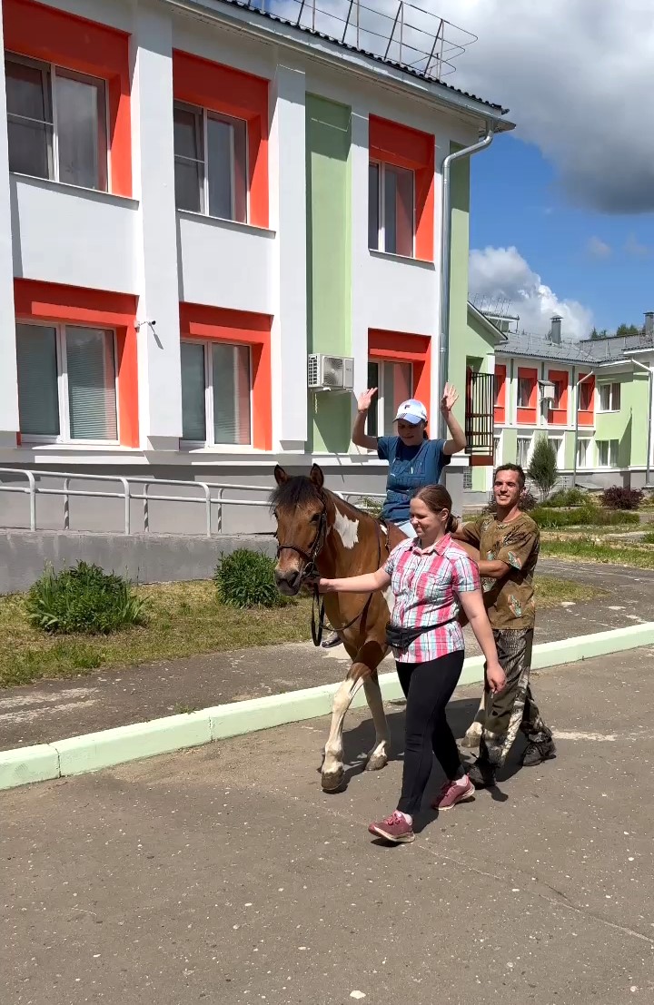 Катание на лошадях