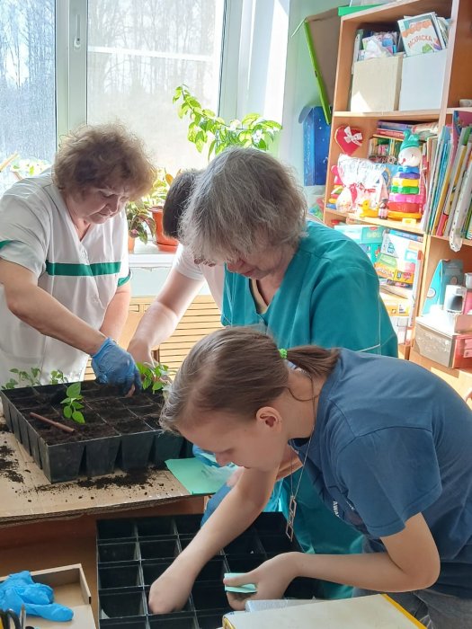 Трудовое воспитание в радость!