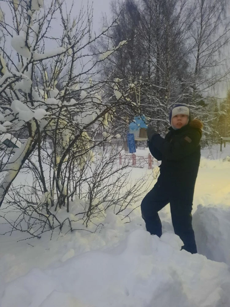 Птичья столовая