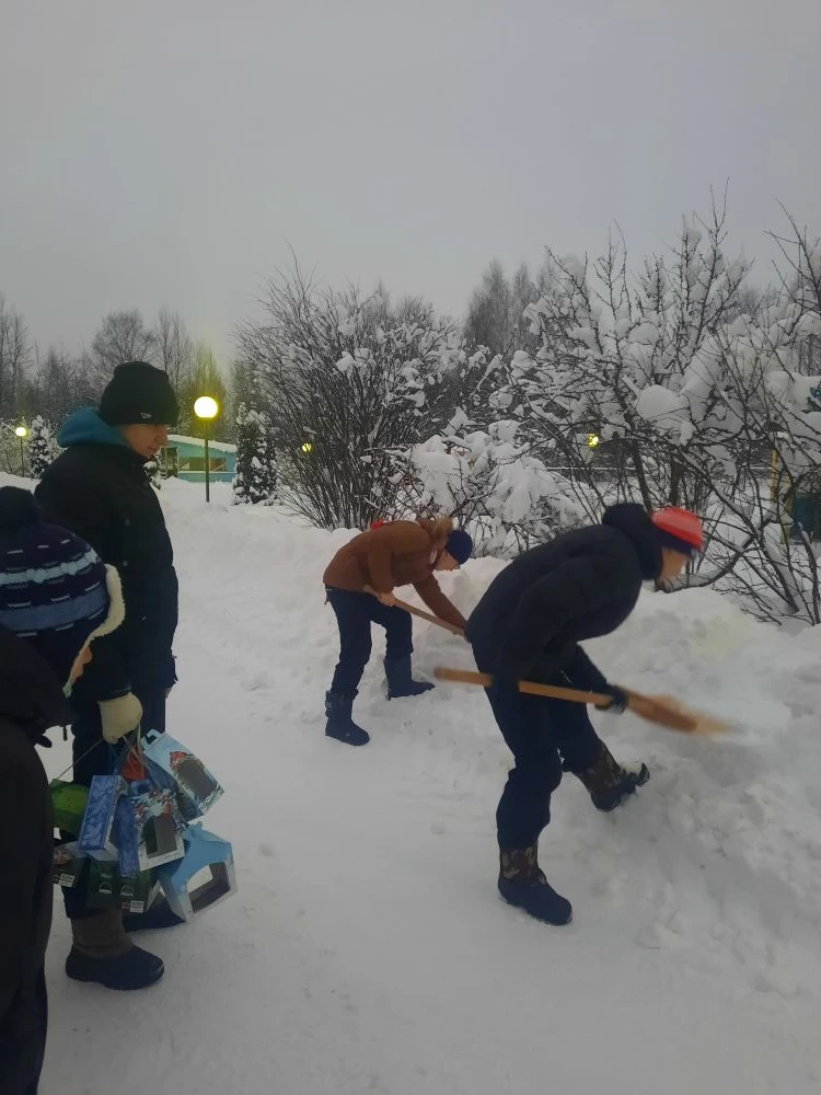 Птичья столовая