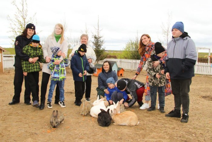 "Кострома - Перу" - Альпака парк