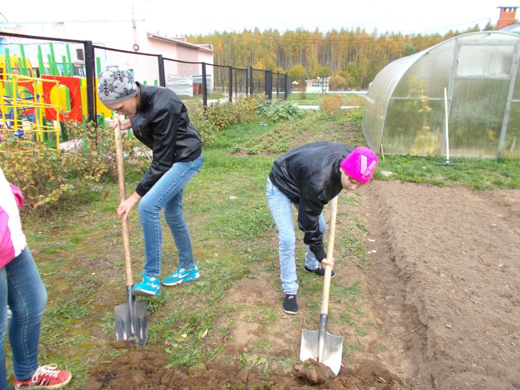 Продолжаются огородные работы
