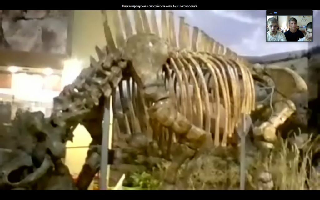 Экскурсия в музей
