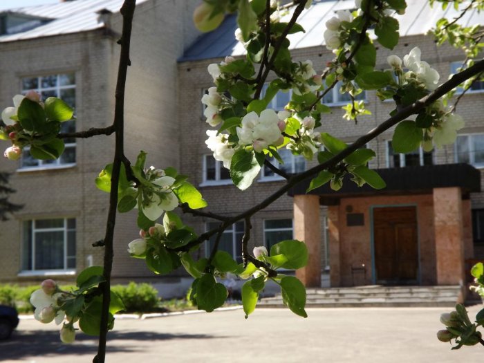 Костромская природа