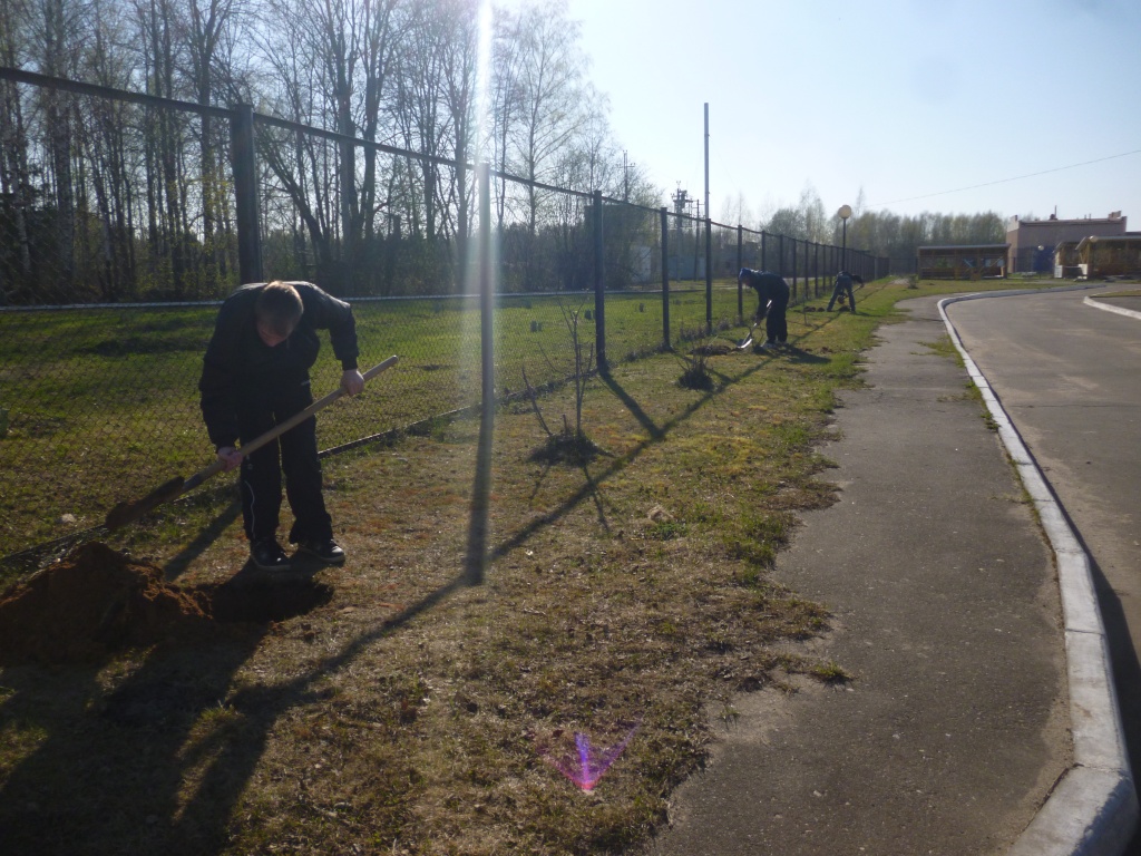 P1110791.jpg P1110791.jpg