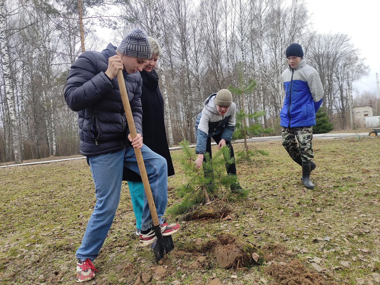 Посадка деревьев в рамках Фестиваля Дарения
