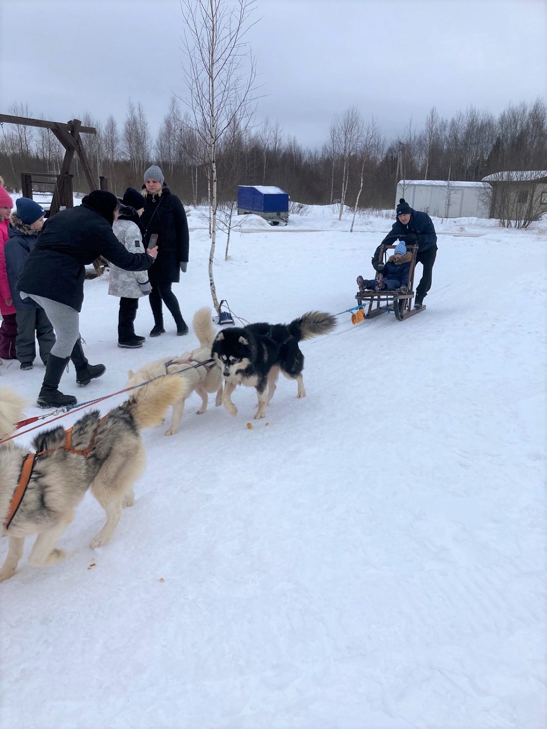 В гости к хаскам