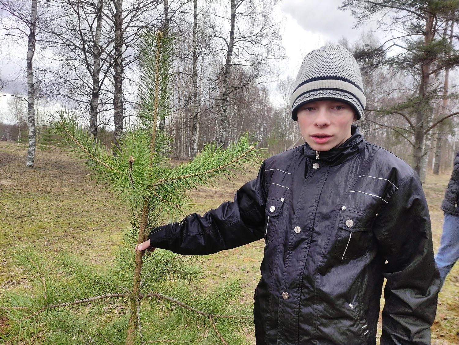 Посадка деревьев в рамках Фестиваля Дарения