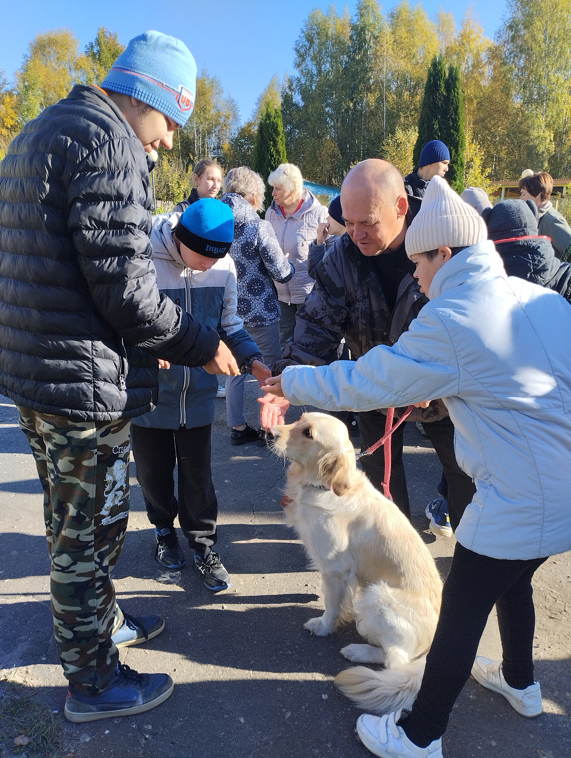 «Братство здесь»: канистерапия в нашем детском доме!