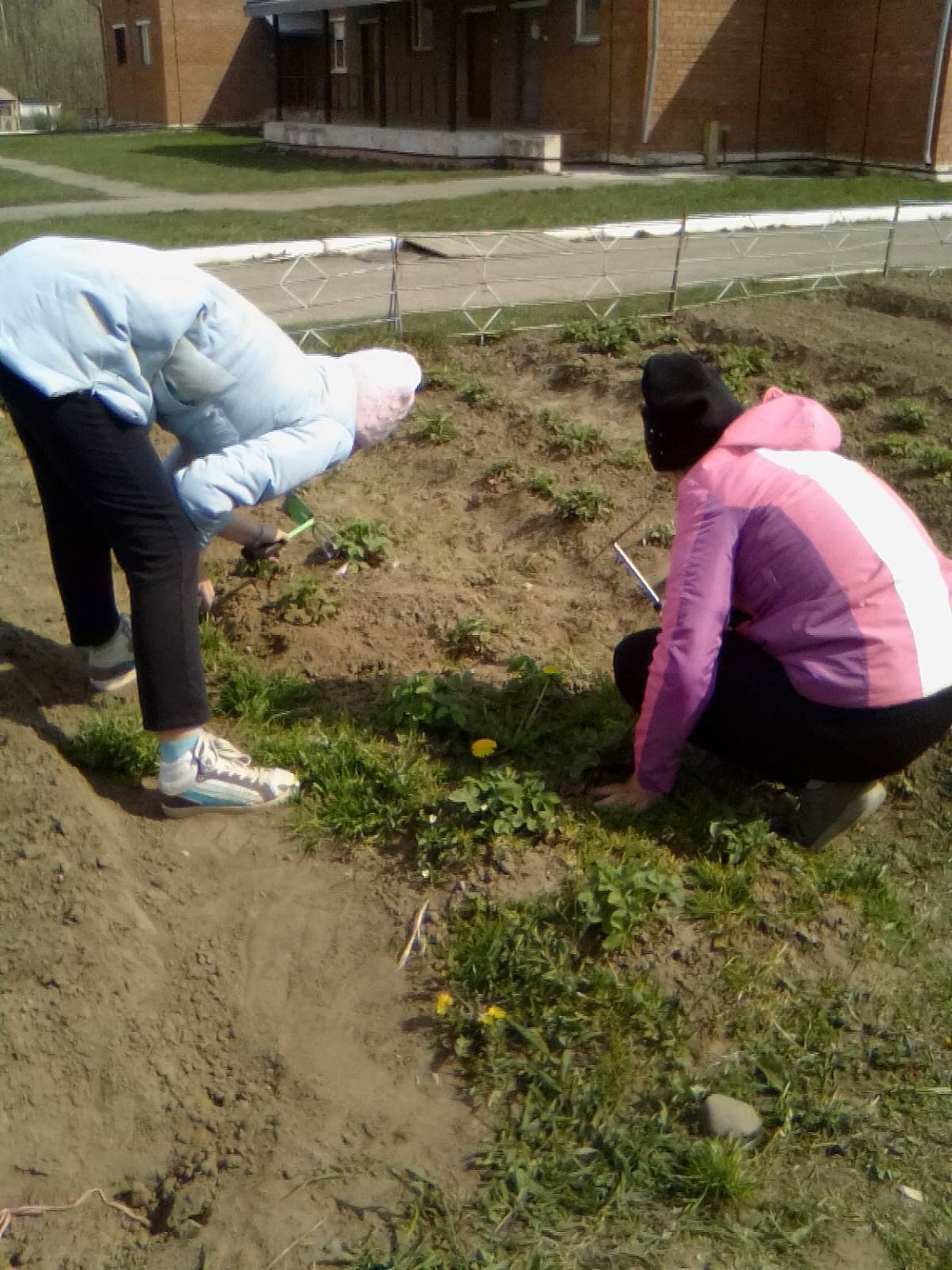 Садово-огородные работы