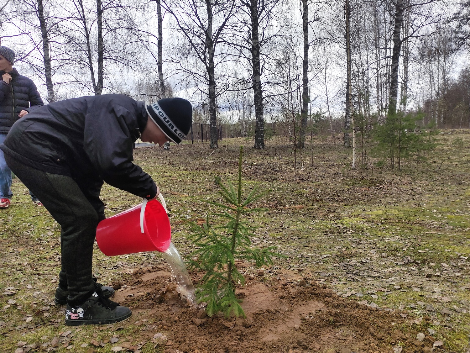 Посадка деревьев в рамках Фестиваля Дарения