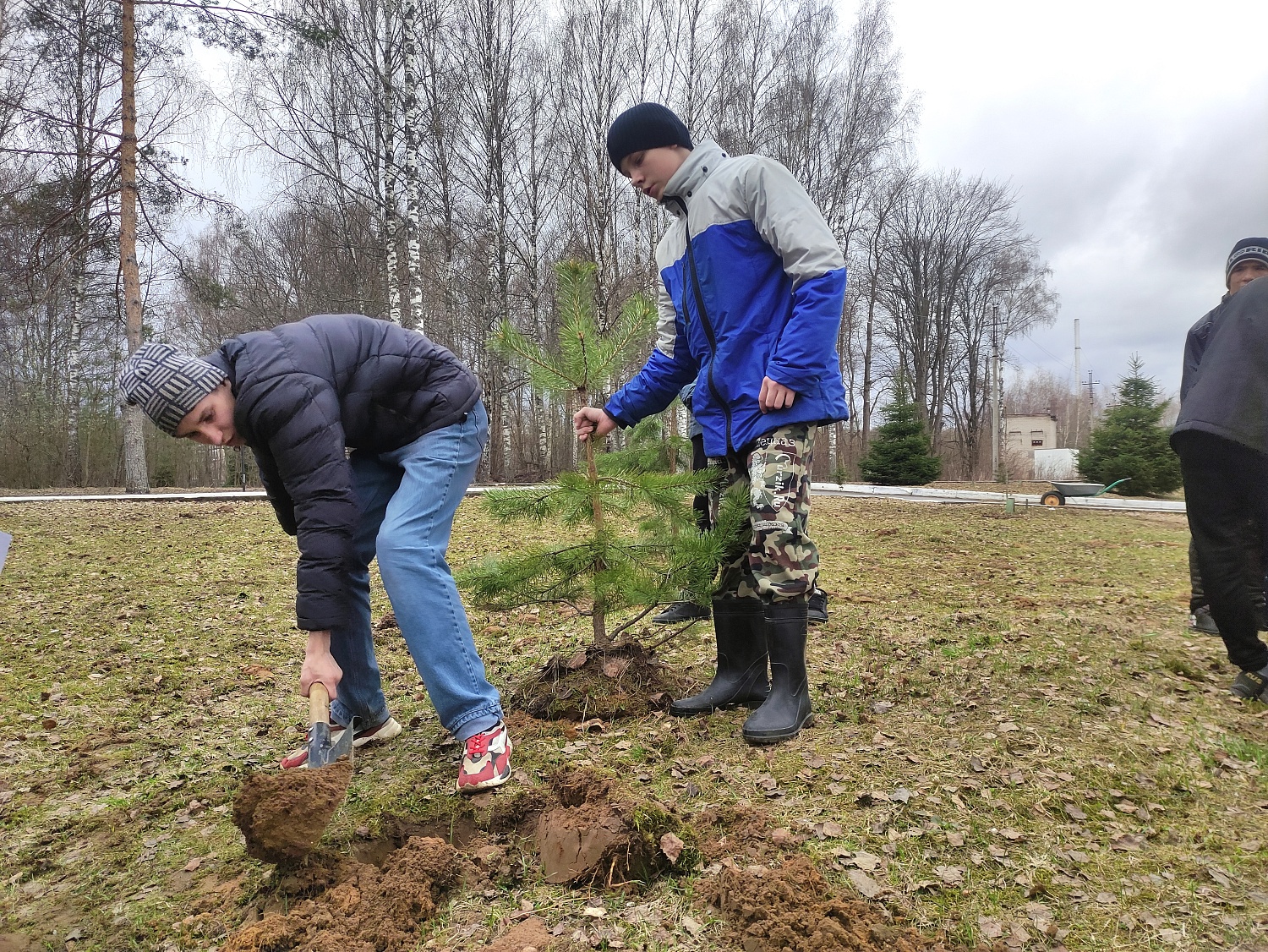 Посадка деревьев в рамках Фестиваля Дарения