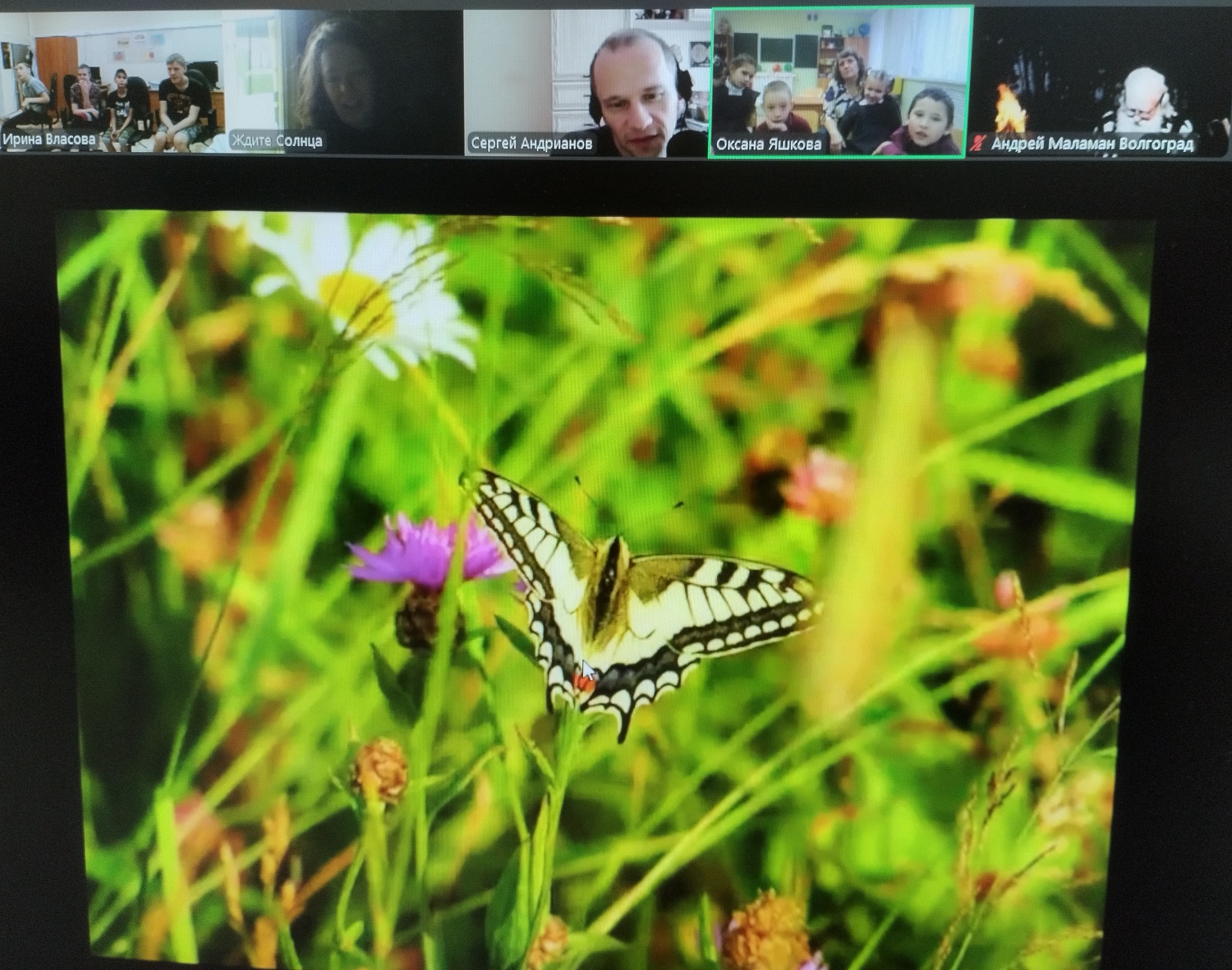 Окружающий мир