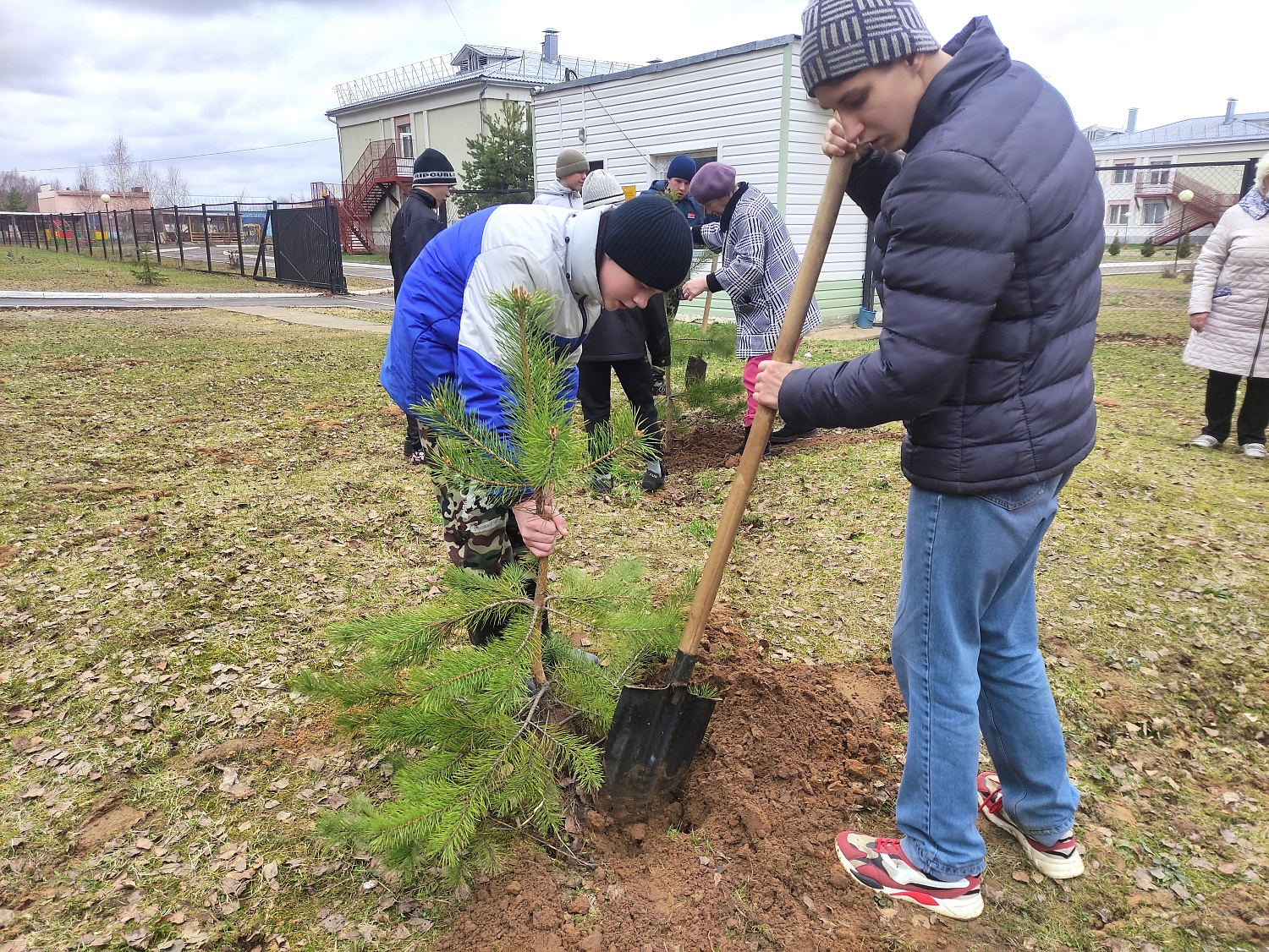Посадка деревьев в рамках Фестиваля Дарения