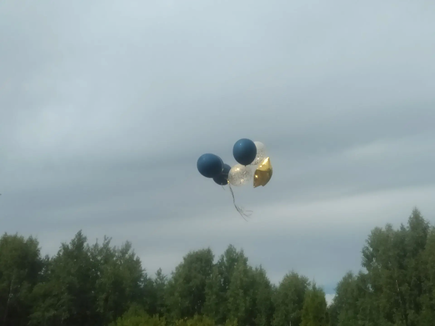 День рождения Максима.