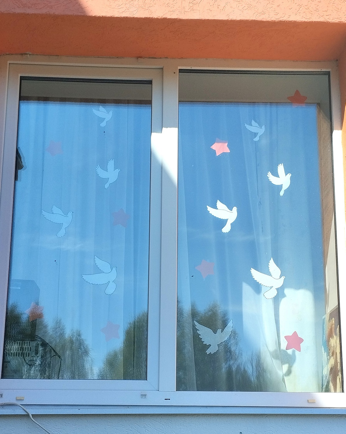 Окна Победы