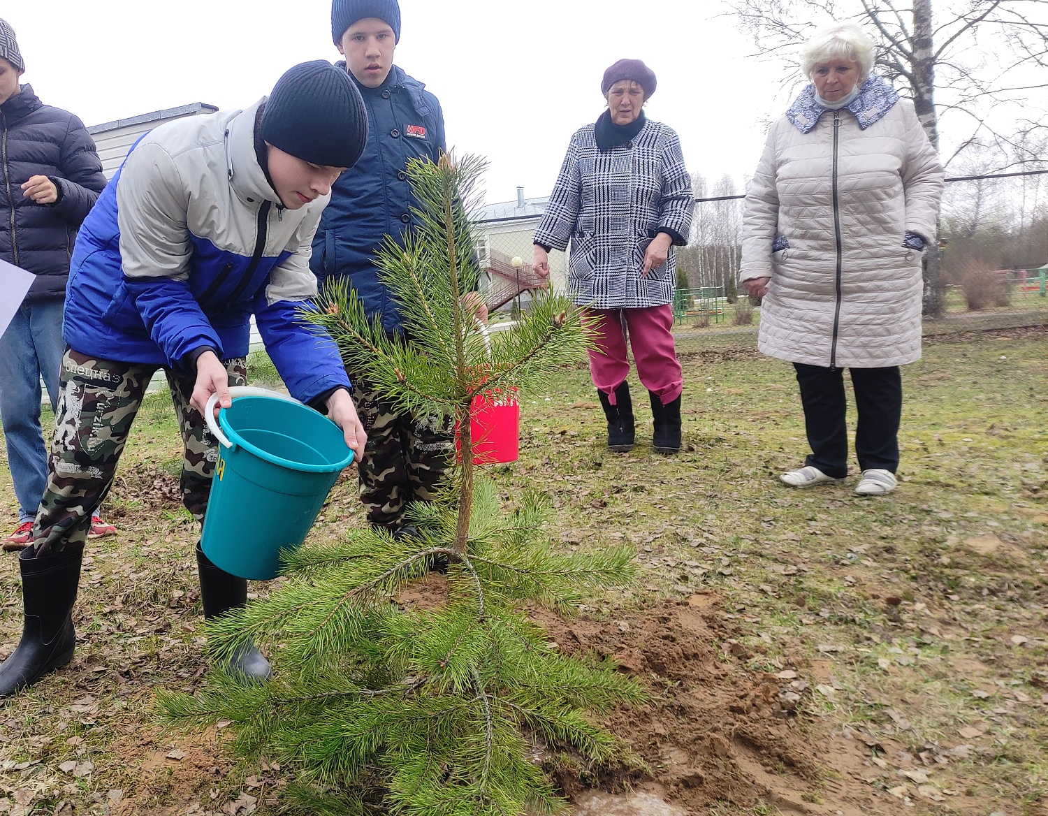 Посадка деревьев в рамках Фестиваля Дарения