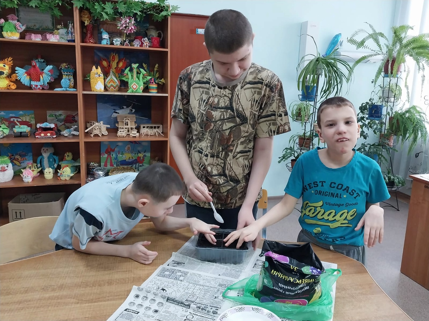 Посадка семян петуньи 