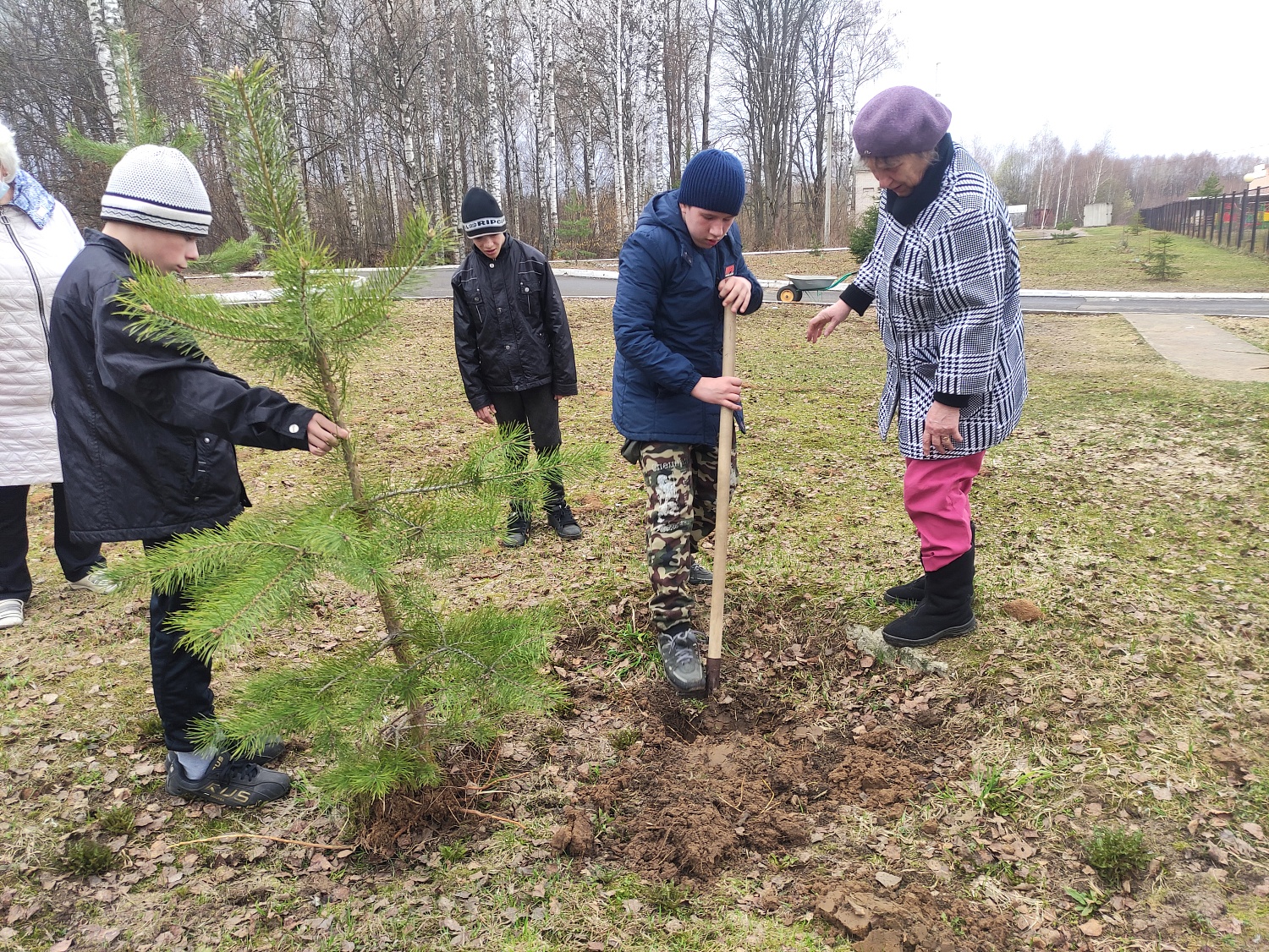 Посадка деревьев в рамках Фестиваля Дарения