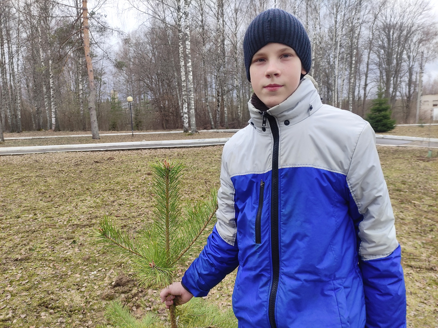 Посадка деревьев в рамках Фестиваля Дарения