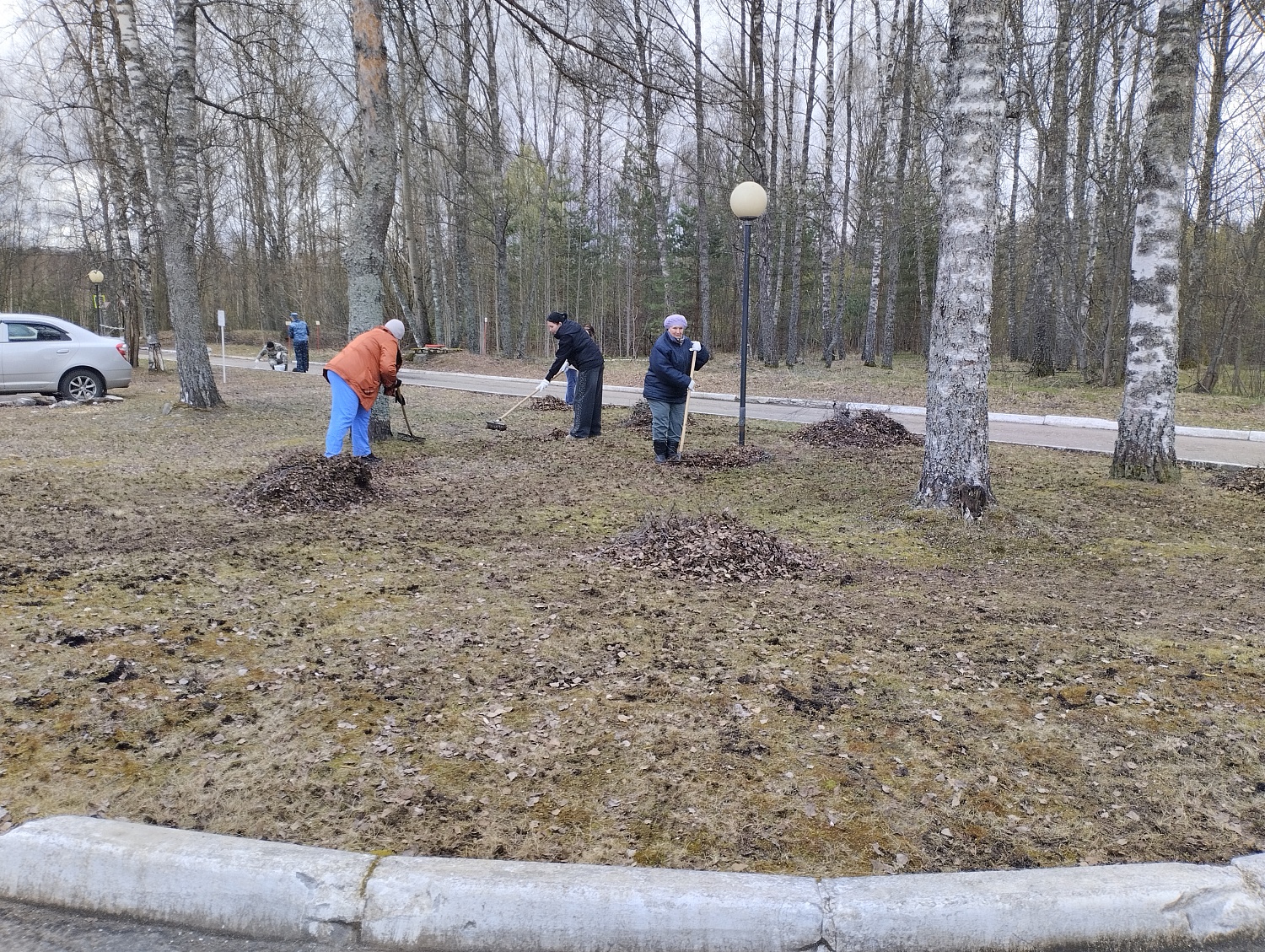 Весенний трудовой десант
