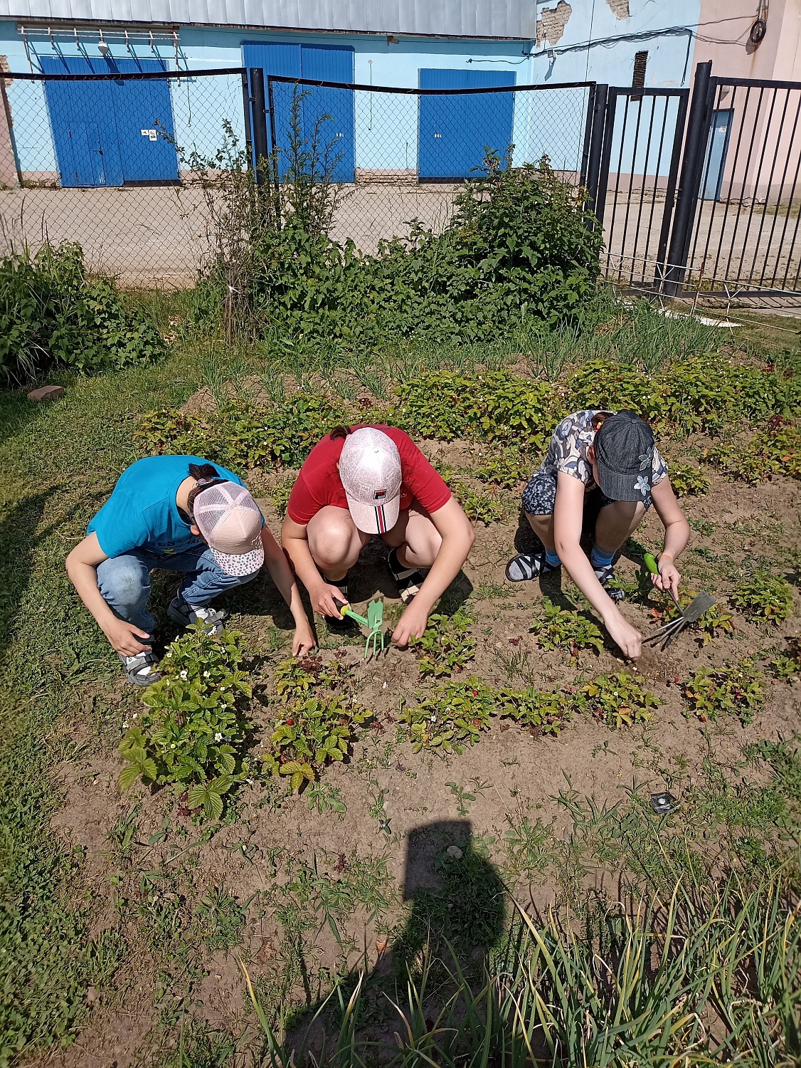 Огородные работы