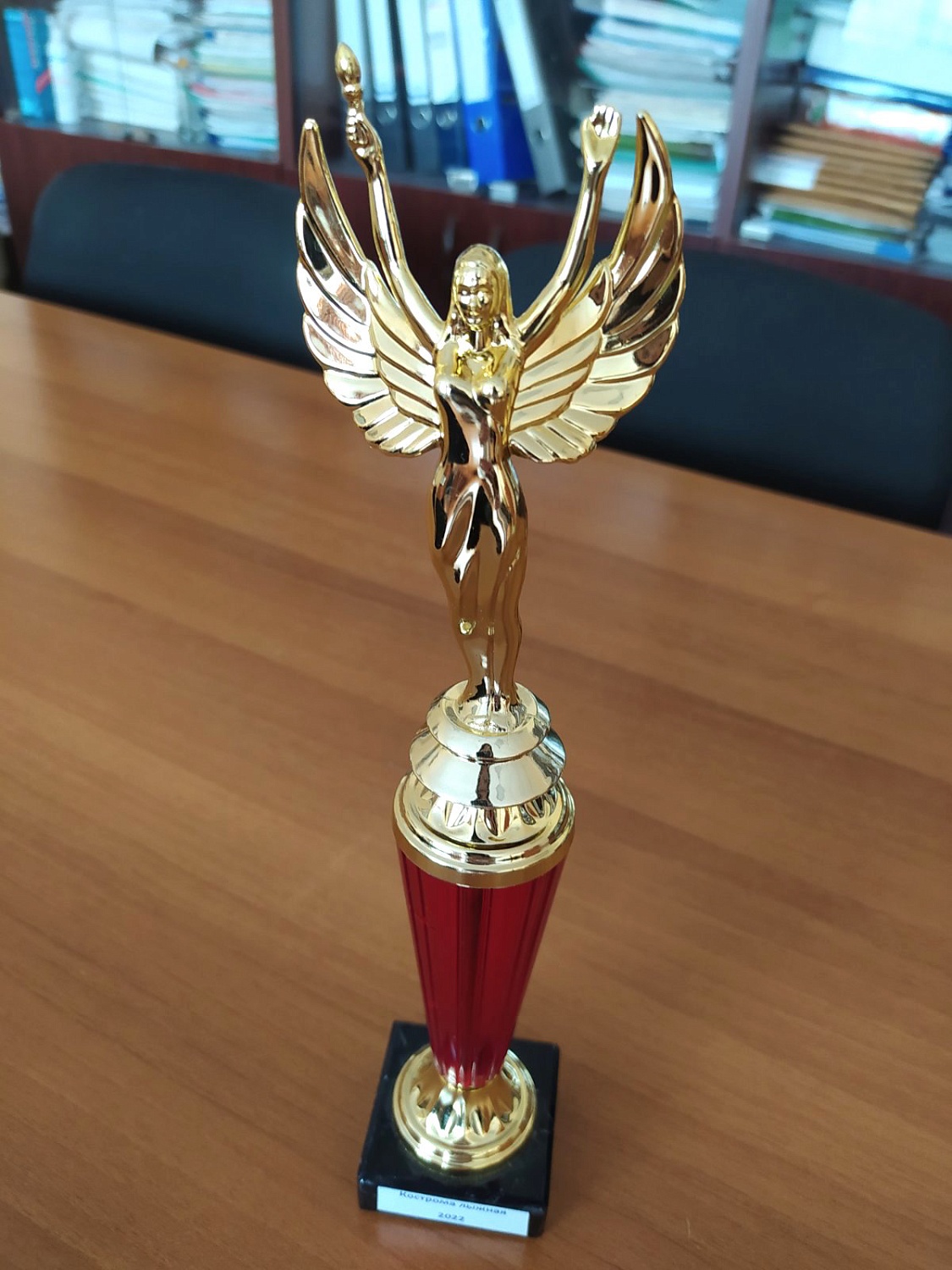 Итоги конкусра "Кострома лыжная-2022"