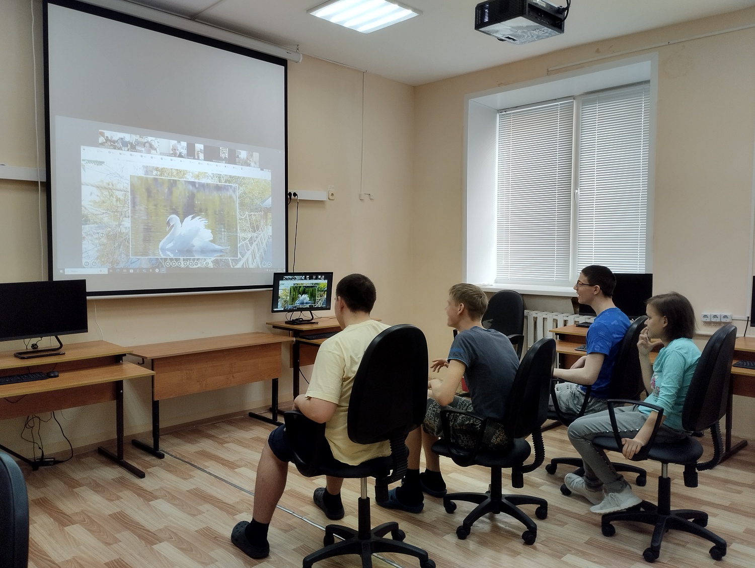 Виртуальная экскурсия в зоопарк
