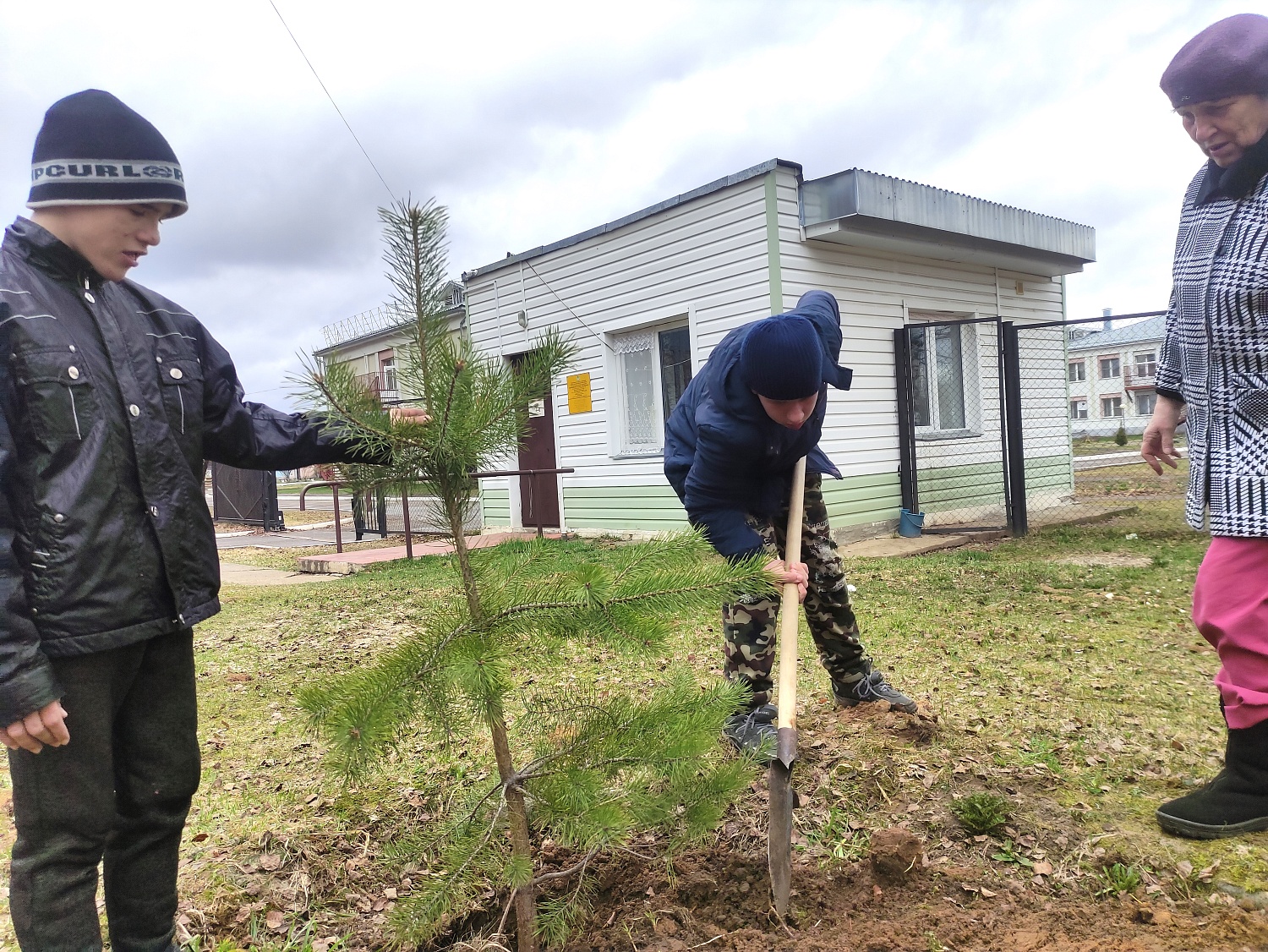 Посадка деревьев в рамках Фестиваля Дарения
