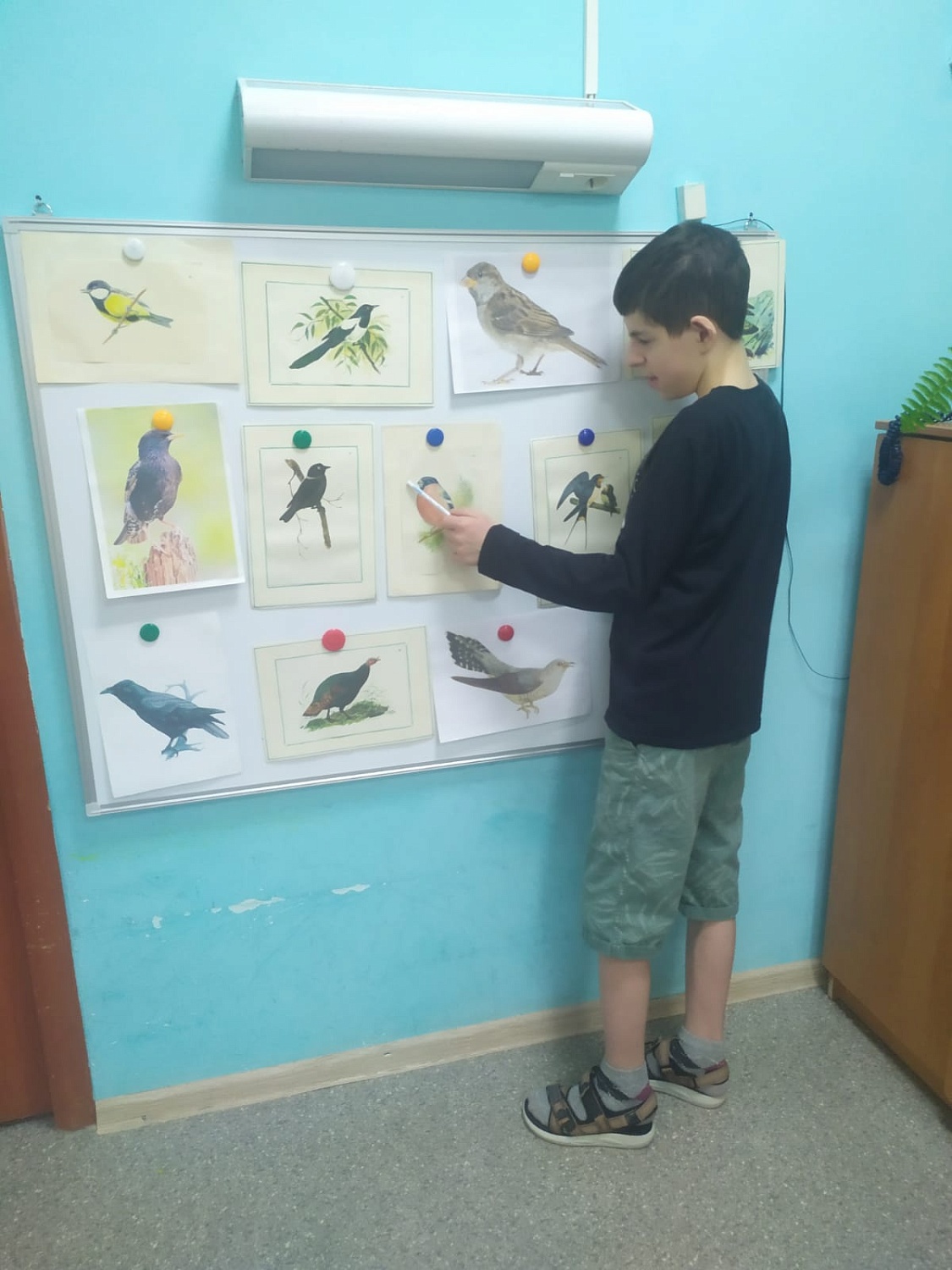 Знакомство с пернатыми